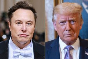 Πολιτική της τολμηρής κουτουράδας