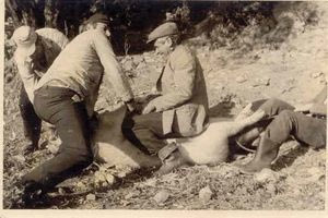 Ένα άσχημο έθιμο