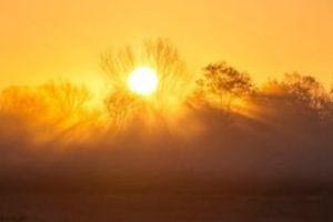 Copernicus: Το 2024 θα είναι με βεβαιότητα το πιο θερμό έτος που μετρήθηκε ποτέ