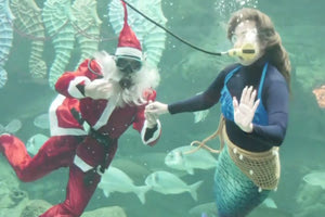 Ένας υποβρύχιος Άγιος Βασίλης κάνει βουτιές εντυπωσιάζοντας μικρούς και μεγάλους