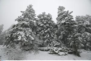 «Βουτιά» της θερμοκρασίας με χιόνι σε αρκετές περιοχές – Τι προβλέπεται για την Κρήτη