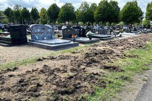 Αγριογούρουνα ξεθάβουν νεκρούς σε νεκροταφείο της Λευκάδας