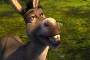 Πέθανε ο γάιδαρος που ενέπνευσε το χαρακτήρα του Έντι Μέρφι στις ταινίες Shrek