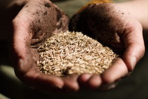 Η ενεργειακή και επισιτιστική κρίση μάς χτυπάει την πόρτα