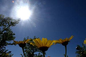 Στους 33 βαθμούς Κελσίου ο υδράργυρος στην Κρήτη