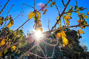 Καιρός: Συνεχίζεται το «μικρό καλοκαιράκι» με τη θερμοκρασία έως τους 31 βαθμούς