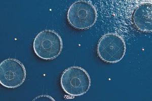 Νέο θεσμικό πλαίσιο για επισκέψιμες υδατοκαλλιέργειες στην Ελλάδα