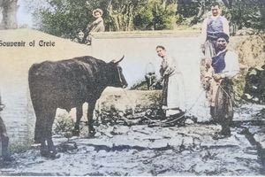 Η καθημερινότητα στην κρητική ύπαιθρο παλιά…