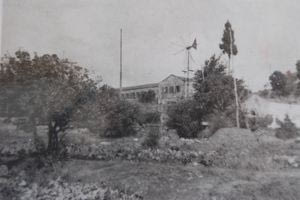 Τραυματισμός Γεωργίου Νικολάου Παπαδάκη