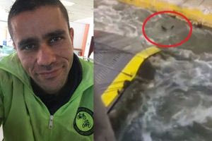 Δίκη για τη δολοφονία Καργιώτη: Την ενοχή των 4 κατηγορούμενων ζήτησε η εισαγγελέας