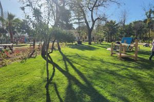 Χανιά: Σοβαρό ζήτημα δημόσιας υγείας στον Δημοτικό Κήπο από την έντονη συγκέντρωση περιστεριών