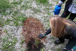 Διοργάνωσαν δράση δενδροφύτευσης με σκοπό την περιβαλλοντική ευαισθητοποίηση και την εκπαίδευση των παιδιών