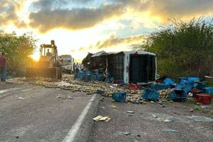Βραζιλία: Δώδεκα φοιτητές σκοτώθηκαν σε τροχαίο δυστύχημα στην πολιτεία του Σάο Πάολο