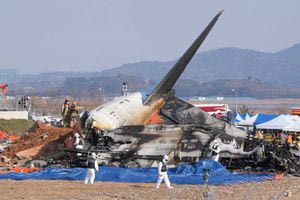 Η Νότια Κορέα διατάσσει τα αεροδρόμια να εγκαταστήσουν κάμερες ανίχνευσης πτηνών