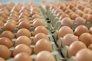 ΗΠΑ: Κλέφτες άρπαξαν 100.000 βιολογικά αυγά από μια αποθήκη