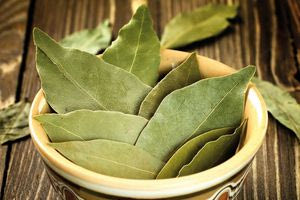 Τα οφέλη του να βάζουμε φύλλα δάφνης στο πλυντήριο