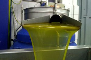 «Γαλατικό χωριό» της κλιματικής κρίσης η Έμπαρος