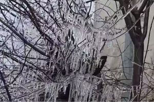 Η πρωινή φωτογραφία από το Οροπέδιο Λασιθίου – Η φύση ζωγράφισε…