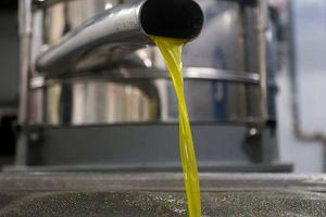 Έκλεψαν λάδι από αγροτικό συνεταιρισμό  στην περιοχή Μινώα Πεδιάδας