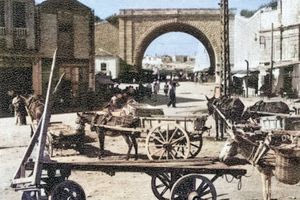 Την αναγνωρίζετε;