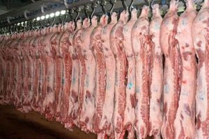 Εξετάζεται το ενδεχόμενο να ανοίξουν τα σφαγεία των Μοιρών