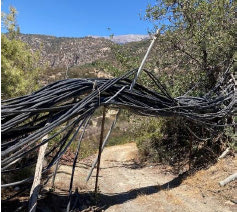 Ψηφιακά δίκτυα διανομής νερού