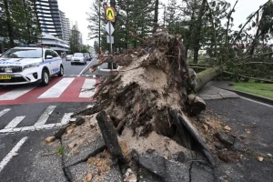 Ένας νεκρός από κακοκαιρία στην Αυστραλία, δεκάδες τραυματίες σε σύγκρουση στρατιωτικών οχημάτων