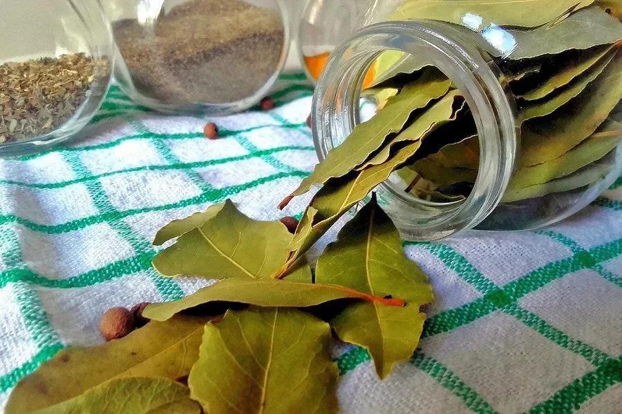 Bay Leaves: Are They Safe to Eat? Experts Weigh In