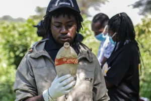 Το 2030 τα πλαστικά απόβλητα μόνο της Coca-Cola θα μπορούν να γεμίσουν τα στομάχια 18 εκατ. φαλαινών