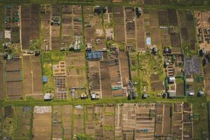 Καθαρισμός οικοπέδων 2025: Ποιοι κινδυνεύουν με πρόστιμο έως 54.000 ευρώ