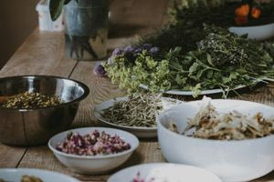 Το βότανο που μειώνει τον κίνδυνο εμφάνισης Αλτσχάιμερ, σύμφωνα με το Χάρβαρντ