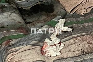 Που εντοπίστηκε αιμόφυρτος ο ηλικιωμένος – Εκτός από τον εγγονό συνελήφθη και ο 54χρονος γιος του