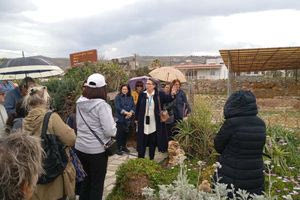 Με επιτυχία η ξενάγηση των «Χαρτοδιαδρομών… στο Δήμο μας» στη Μινωική έπαυλη των Κρίνων και στο Μέγαρο του Νίρου