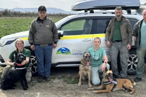 Νεκρά δεκάδες ζώα στο Εθνικό Πάρκο του Έβρου