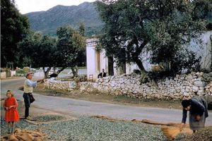 Εικόνα καθημερινότητας στην Κρήτη