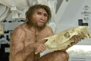 Ανακαλύφθηκε άγνωστος πληθυσμός – πρόγονός μας που βελτίωσε την εγκεφαλική μας λειτουργία