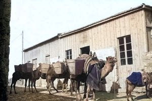 Κι όμως… υπήρχαν!