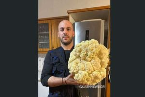 Χανιά: Κουνουπίδι – γίγας «ξεφύτρωσε» στα Κεραμειά