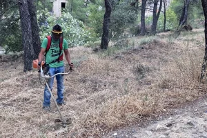 Καθαρισμός οικοπέδων: Υποχρεωτικός από την 1η Απριλίου – Οι διαδικασίες και τα πρόστιμα