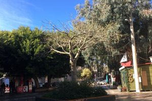 Χθες σήμερα αύριο 29/3/2025