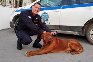 Έρχεται η “Αστυνομία Ζώων” – Ζωηρό ενδιαφέρον από τους αστυνομικούς στην Κρήτη