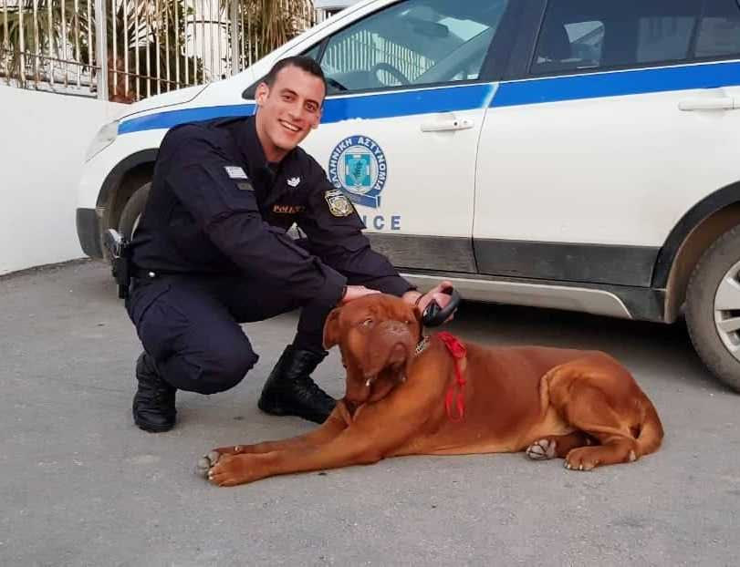 Έρχεται η “Αστυνομία Ζώων” – Ζωηρό ενδιαφέρον από τους αστυνομικούς στην Κρήτη
