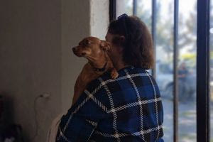 Κανένα ζώο αβοήθητο στον δρόμο: Εκατοντάδες στειρώσεις στον Δήμο Μινώα Πεδιάδας (φωτογραφίες)