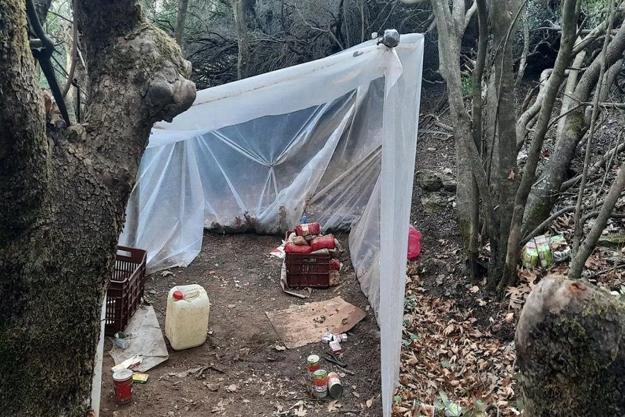Ηράκλειο: Mέσω… Interpol η ταυτοποίηση του ενός εκ των καλλιεργητών της χασισοφυτείας
