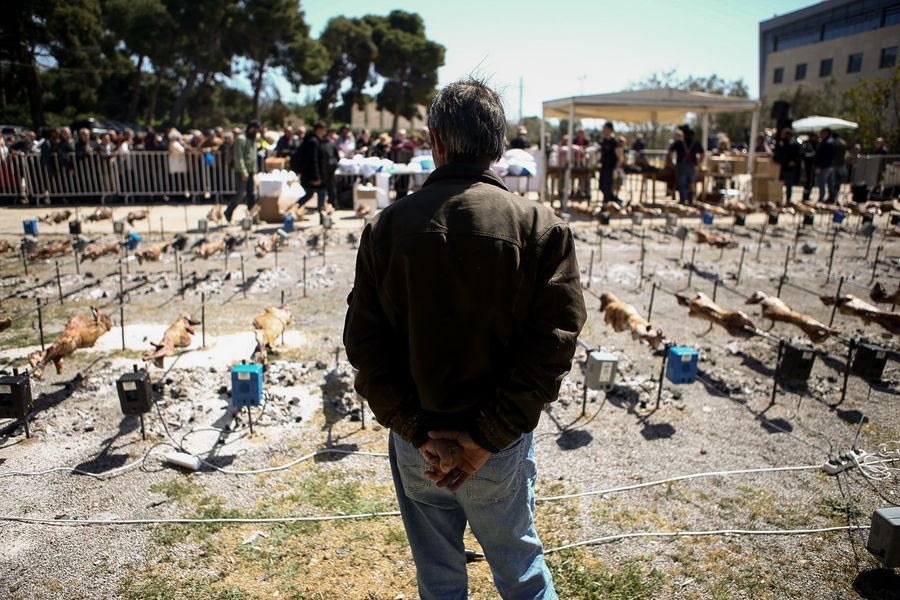 Αρνί ή Κατσίκι; Ιδού η… Πασχαλινή Απορία!