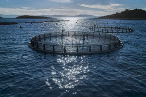 Διεκόπη για την 9η Μαΐου 2025 η δίκη για το εργατικό ατύχημα με νεαρό δύτη από την Κρήτη σε ιχθυοκαλλιέργεια