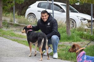 Την ευαισθησία τους για τα αδέσποτα ζώα έδειξαν οι ποδοσφαιριστές του ΟΦΗ (φωτογραφίες και βίντεο)