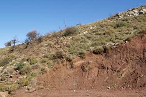 Το 1,5 μοναδικό χιλιόμετρο της κρητικής γης