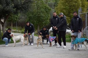Στο Κυνοκομείο του Δήμου Ηρακλείου οι ποδοσφαιριστές του ΟΦΗ (vid)