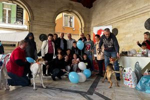 Μικροί και μεγάλοι στο αίθριο της Λότζια για την Παγκόσμια Ημέρα Αδέσποτων Ζώων